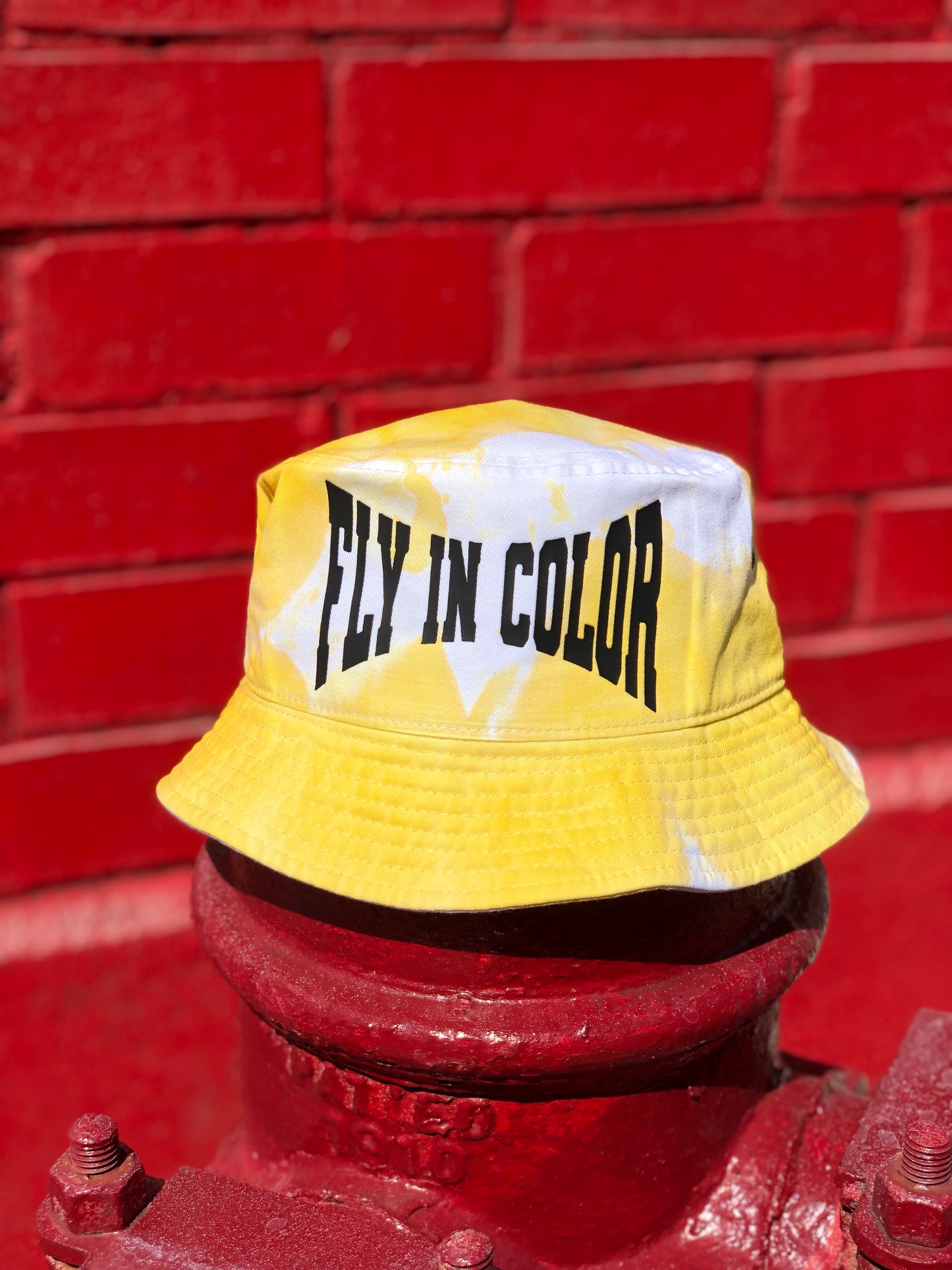 FLY IN COLOR Bucket Hat